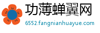 功薄蝉翼网
